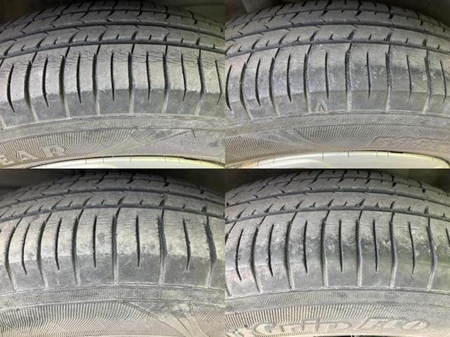 �u���̎Ԃ̎ʐ^�������ƌ������v�u��Ԃ��C�ɂȂ�v�u���̑����͂��Ă���H�v�ǂ�ȏ����ȋ^��ł����C�y�ɂ��₢���킹���������I