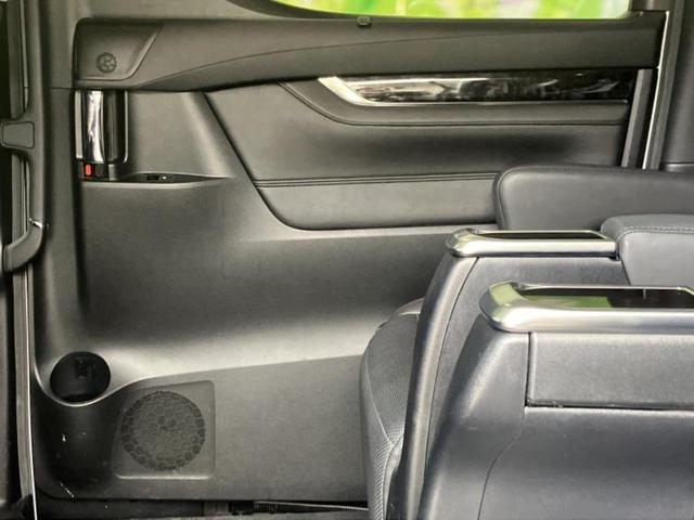 �u���̎Ԃ̎ʐ^�������ƌ������v�u��Ԃ��C�ɂȂ�v�u���̑����͂��Ă���H�v�ǂ�ȏ����ȋ^��ł����C�y�ɂ��₢���킹���������I