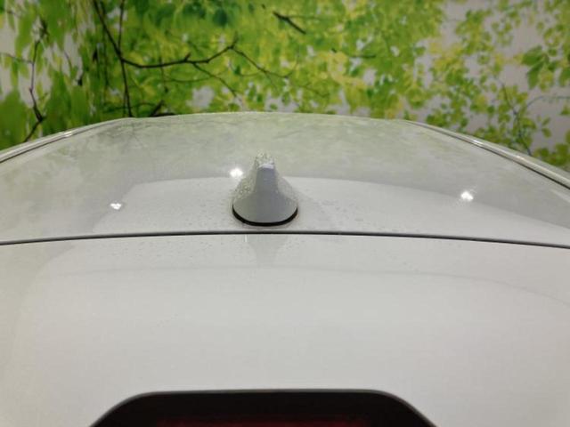 ライズ Ｇ　保証書／純正　９インチ　ＳＤナビ／衝突安全装置／パノラミックビューモニター／車線逸脱防止支援システム／ヘッドランプ　ＬＥＤ／ＵＳＢジャック／Ｂｌｕｅｔｏｏｔｈ接続／ＥＴＣ／ＥＢＤ付ＡＢＳ　全周囲カメラ（45枚目）