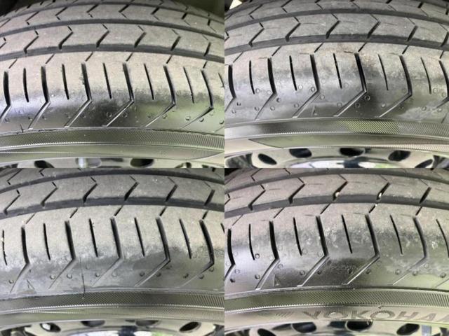 �u���̎Ԃ̎ʐ^�������ƌ������v�u��Ԃ��C�ɂȂ�v�u���̑����͂��Ă���H�v�ǂ�ȏ����ȋ^��ł����C�y�ɂ��₢���킹���������I