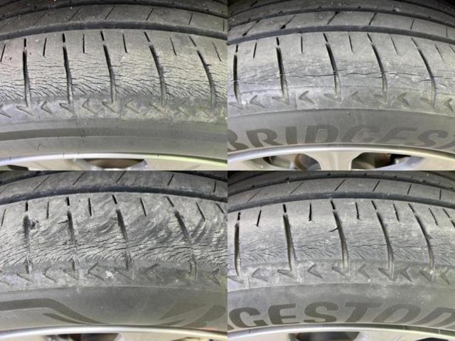 �u���̎Ԃ̎ʐ^�������ƌ������v�u��Ԃ��C�ɂȂ�v�u���̑����͂��Ă���H�v�ǂ�ȏ����ȋ^��ł����C�y�ɂ��₢���킹���������I