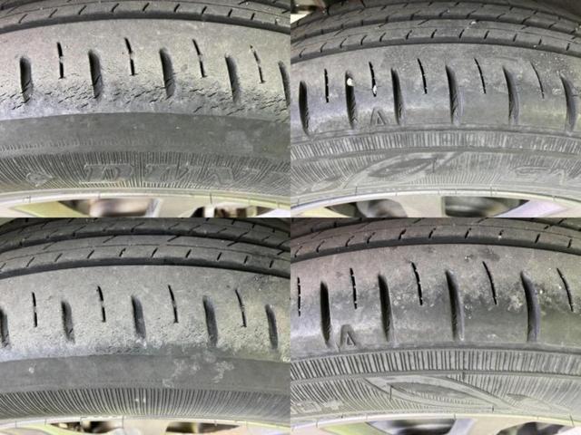 �u���̎Ԃ̎ʐ^�������ƌ������v�u��Ԃ��C�ɂȂ�v�u���̑����͂��Ă���H�v�ǂ�ȏ����ȋ^��ł����C�y�ɂ��₢���킹���������I