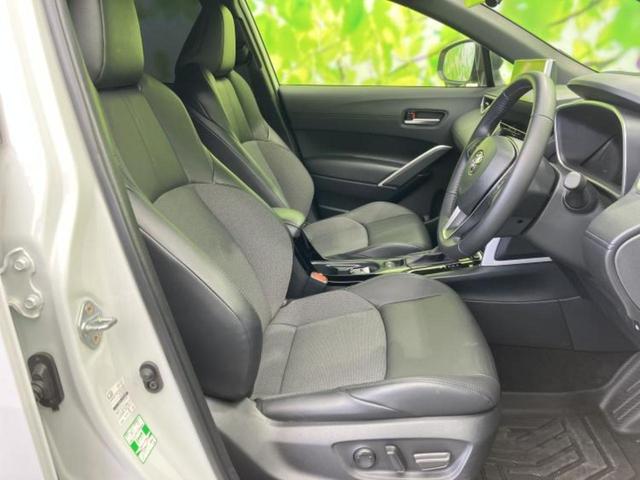 �u���̎Ԃ̎ʐ^�������ƌ������v�u��Ԃ��C�ɂȂ�v�u���̑����͂��Ă���H�v�ǂ�ȏ����ȋ^��ł����C�y�ɂ��₢���킹���������I