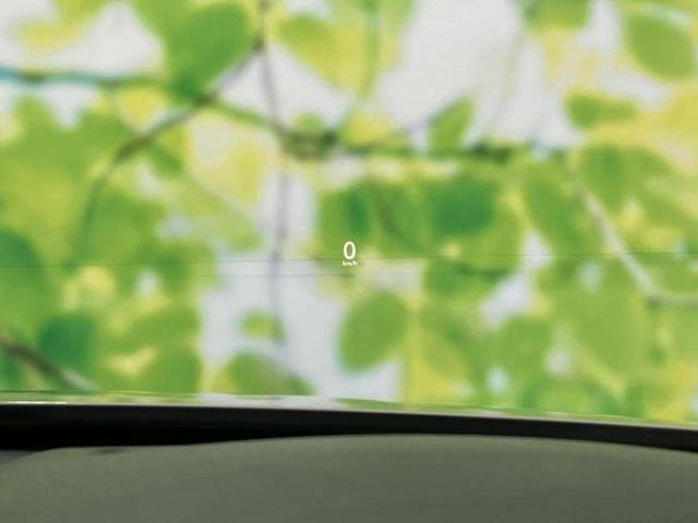 �v�d�b�`�q�r�̓W����ł͎��ۂɌ��āA�G���Ă��Ԃ����I�т��������܂��I�m���̖L�x�ȉc�ƃX�^�b�t���l�X�ȃJ�[���C�t������Ă������܂��I