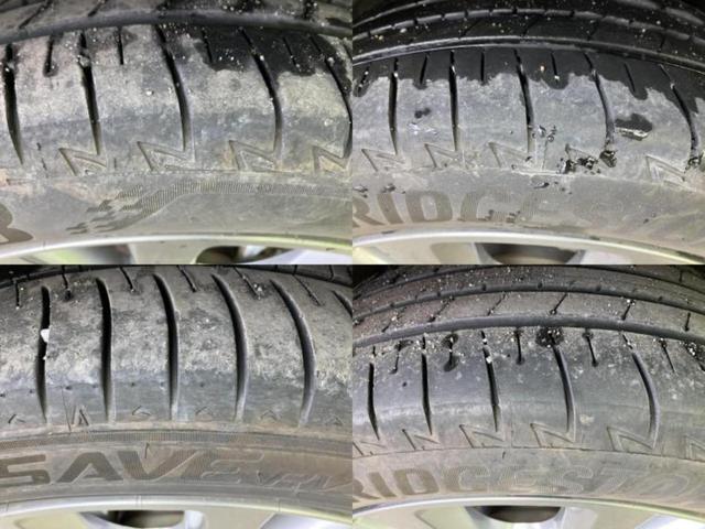 �u���̎Ԃ̎ʐ^�������ƌ������v�u��Ԃ��C�ɂȂ�v�u���̑����͂��Ă���H�v�ǂ�ȏ����ȋ^��ł����C�y�ɂ��₢���킹���������I