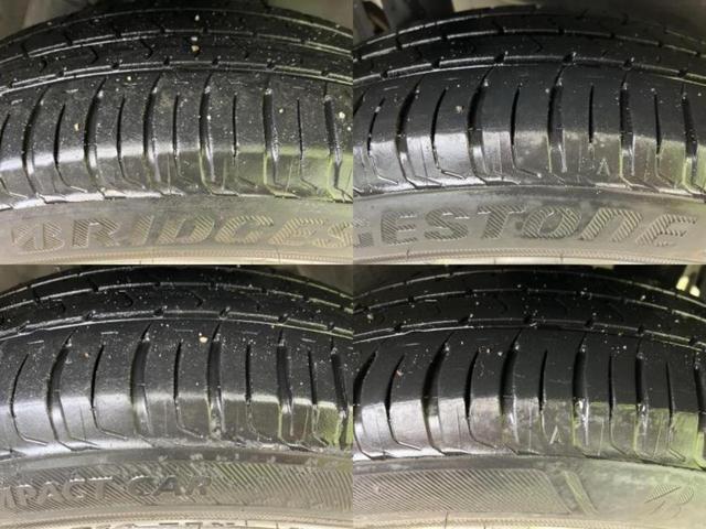 �u���̎Ԃ̎ʐ^�������ƌ������v�u��Ԃ��C�ɂȂ�v�u���̑����͂��Ă���H�v�ǂ�ȏ����ȋ^��ł����C�y�ɂ��₢���킹���������I