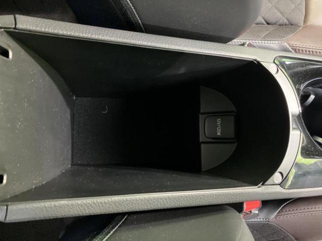 �u���̎Ԃ̎ʐ^�������ƌ������v�u��Ԃ��C�ɂȂ�v�u���̑����͂��Ă���H�v�ǂ�ȏ����ȋ^��ł����C�y�ɂ��₢���킹���������I