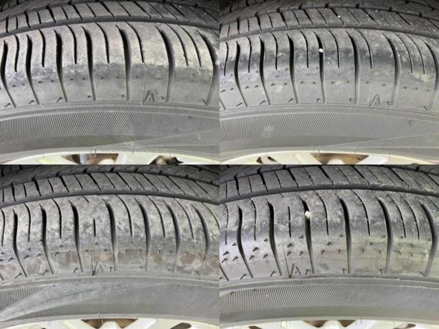 �u���̎Ԃ̎ʐ^�������ƌ������v�u��Ԃ��C�ɂȂ�v�u���̑����͂��Ă���H�v�ǂ�ȏ����ȋ^��ł����C�y�ɂ��₢���킹���������I