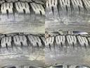 「この車の写真をもっと見たい」「状態が気になる」「この装備はついている?」どんな小さな疑問でもお気軽にお問い合わせください!