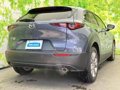 �����Ź�ޤ�Ÿ�����Ƥ���ΤǤɤ��Ǥ⤪���󤻤���ǽ�Ǥ������μ֤����ˤʤ뤱�ɱ��������顦�����������ɬ�פϤ���ޤ��󡪢�����Φ����ɬ�פǤ��� 3