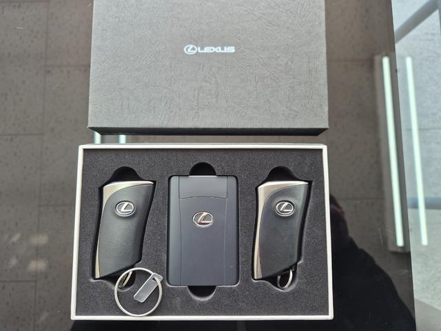 NX NX350h Fスポーツ フルセグTVBluetooth・ETC2.0・デジタルインナーミラー・TRDエアロ・パノラミックルーフ・全方位カメラ・3眼LEDライト・アドバンスパーク・シートヒーター(34枚目)