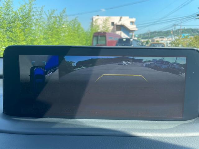 ＲＸ ＲＸ４５０ｈ　Ｆスポーツ（52枚目）