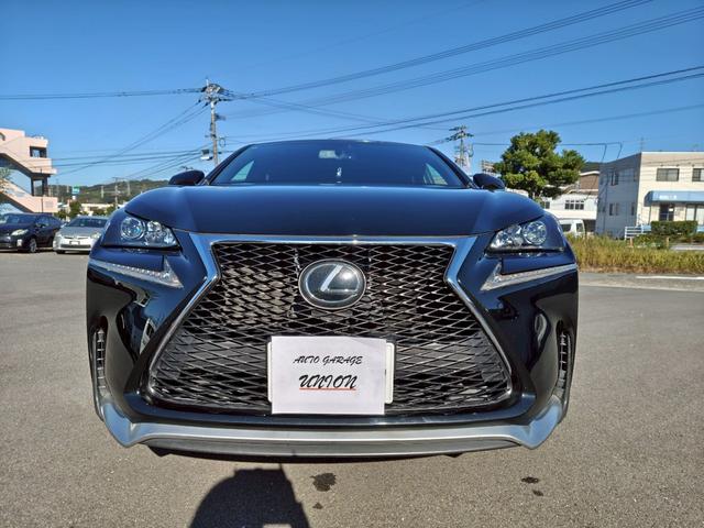 NX NX200t Fスポーツ(3枚目)