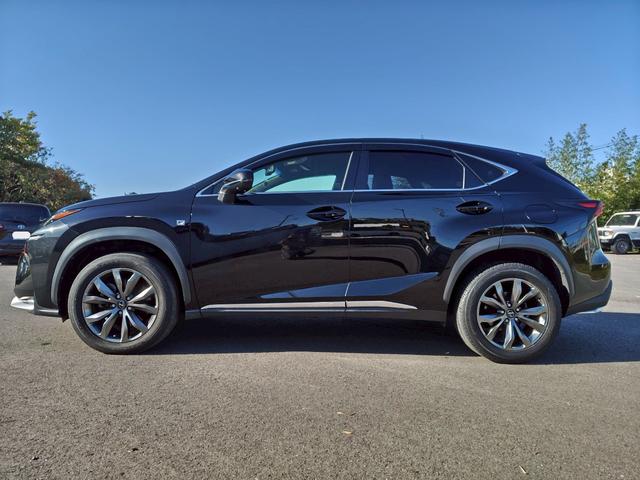 NX NX200t Fスポーツ(9枚目)