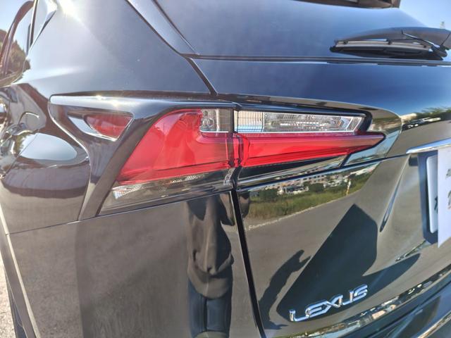 NX NX200t Fスポーツ(14枚目)