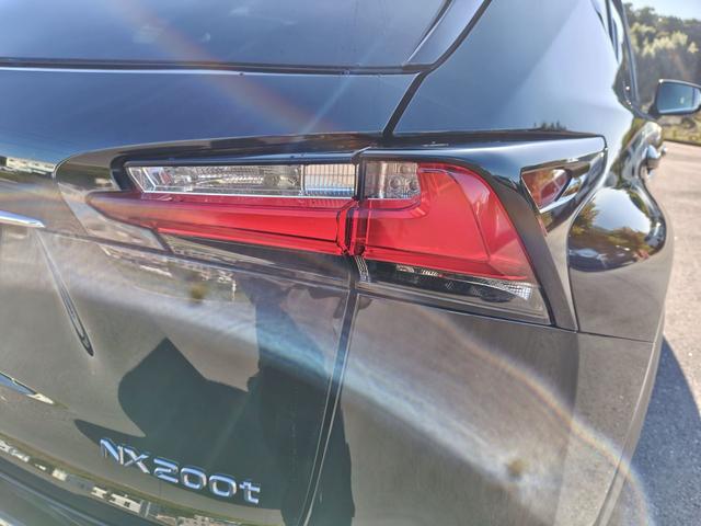 NX NX200t Fスポーツ(15枚目)