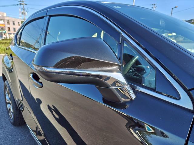 NX NX200t Fスポーツ(17枚目)