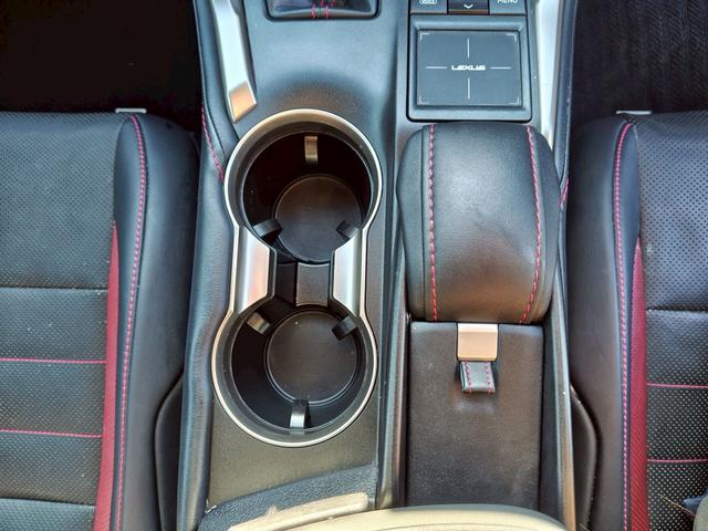 NX NX200t Fスポーツ(29枚目)