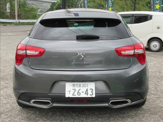 ＤＳ５ Ｃｈｉｃ（18枚目）