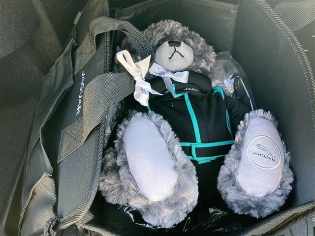 XF R-ダイナミック ブラック P250 サンルーフ・レザーシート・特別塗装色・ワンオーナー(30枚目)