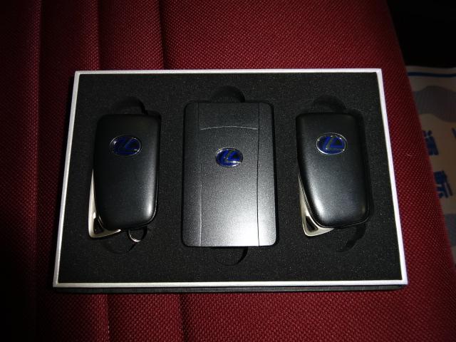IS300h Fスポーツ 純正ナビ フルセグ PCS BSM(15枚目)