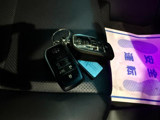 アルファード 2.5S Cパッケージ 純正ナビ フルセグ CD DVD BT USB バックカメラ フリップダウンモニター デジタルインナーミラー 両側パワースライド パワーゲート 社外エアロ 車高調 パワーシート シートヒーター(23枚目)