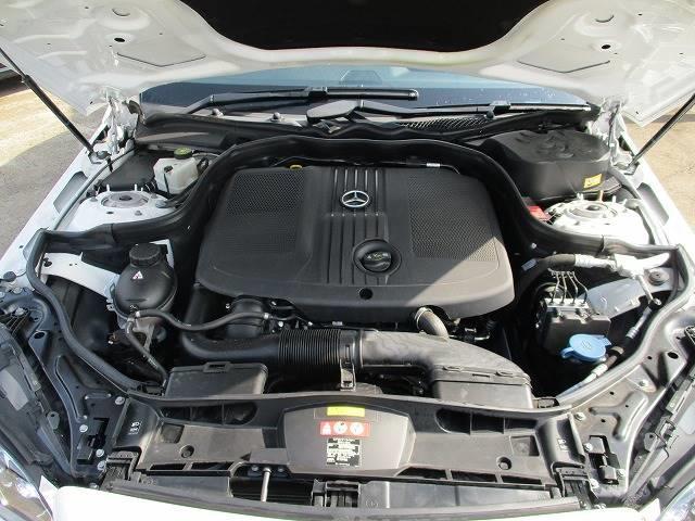 E220d ブルーテックAVG(20枚目)