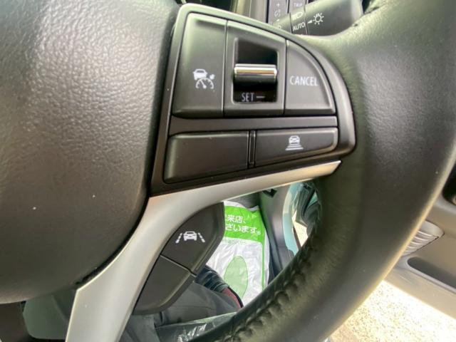 ハスラー タフワイルド（20枚目）