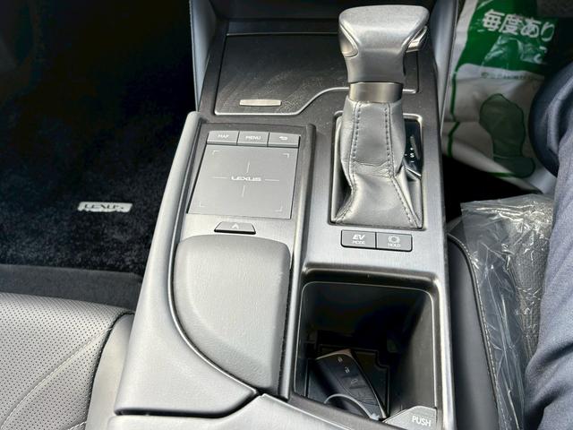 ES ES300h バージョンL(31枚目)