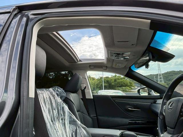 ES ES300h バージョンL(32枚目)