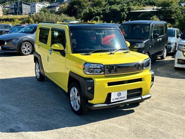 タフト G(7枚目)