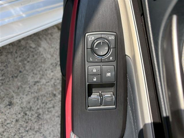 RC RC300h Fスポーツ(14枚目)