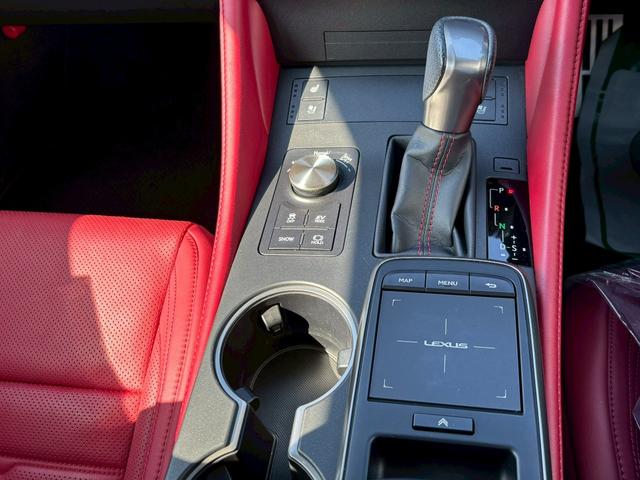 RC RC300h Fスポーツ(28枚目)