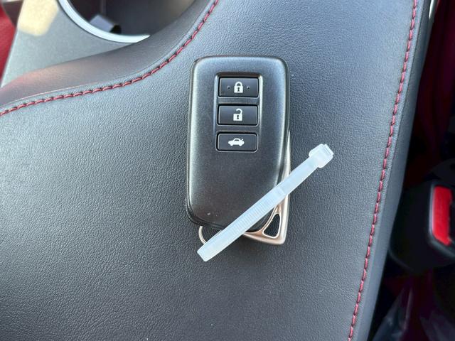 RC RC300h Fスポーツ(30枚目)