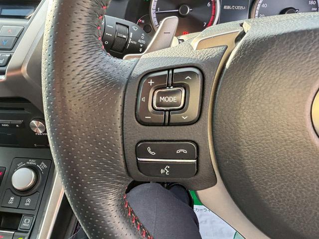 NX NX200t Fスポーツ(23枚目)