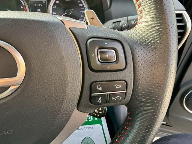 NX NX200t Fスポーツ(24枚目)