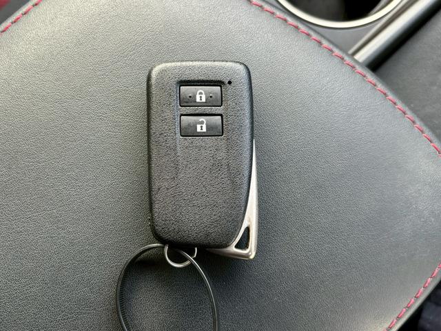 NX NX200t Fスポーツ(30枚目)