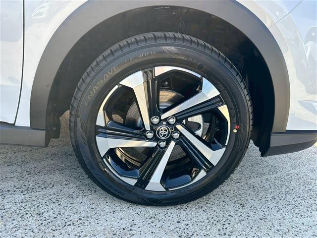 ライズ Z(13枚目)