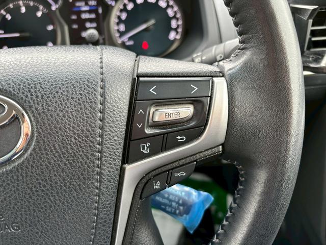 ランドクルーザープラド TX Lパッケージ マットブラックエディション(27枚目)