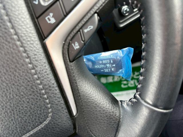 ランドクルーザープラド TX Lパッケージ マットブラックエディション(30枚目)