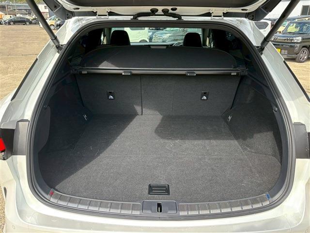 ＲＸ ＲＸ３５０ｈ　バージョンＬ（6枚目）