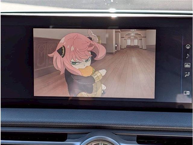 ＩＳ ＩＳ３００　バージョンＬ（16枚目）