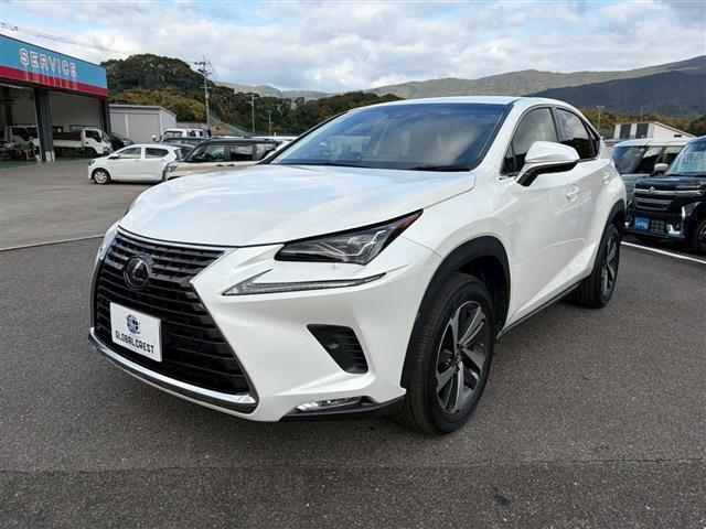 NX NX300 Iパッケージ(7枚目)