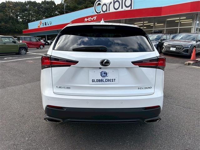 NX NX300 Iパッケージ(10枚目)