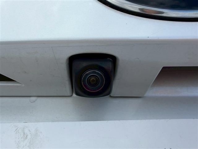 NX NX300 Iパッケージ(16枚目)