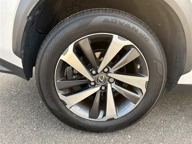 NX NX300 Iパッケージ(20枚目)