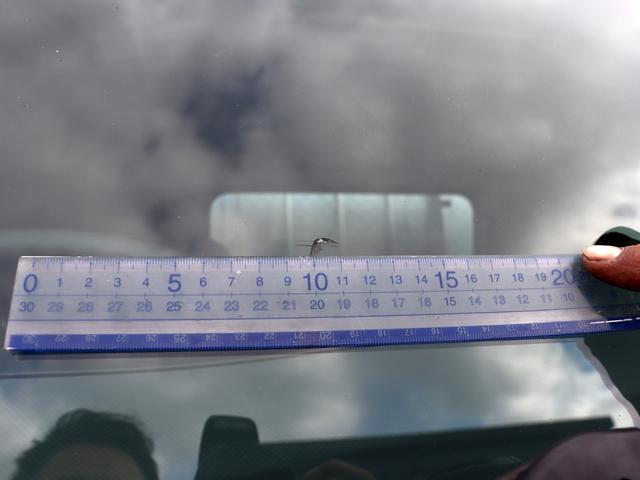 フォワード 　４ｔ　平ボデー　ワイド　６２００　ベッド付　後輪エアサス　２ＲＧ－ＦＲＲ９０Ｔ２（8枚目）