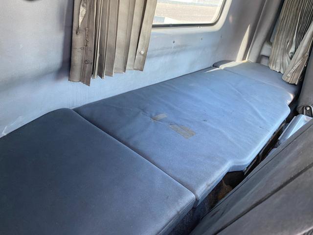 プロフィア トレーラーダンプ　フルーハーフ製トレーラーダンプセット！メッキパーツ！（75枚目）