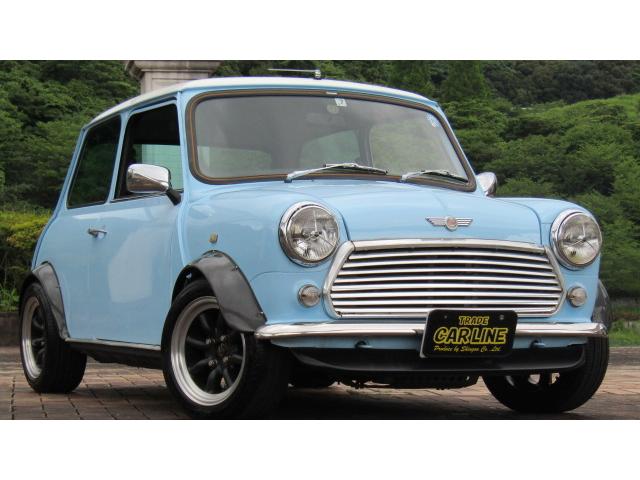 1.3 ウェーバー コブラシート バーフェンアルミ(7枚目)