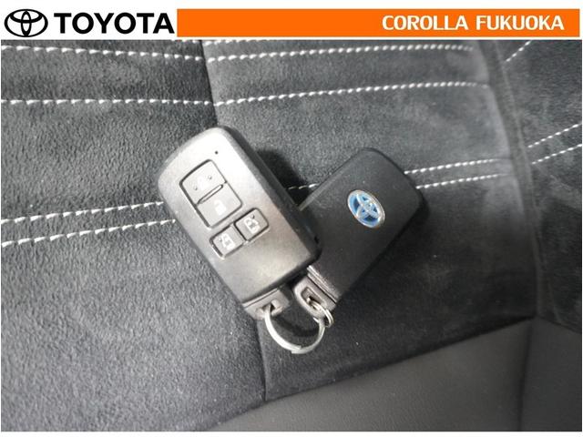 エスクァイア ハイブリッドＧｉプレミアムパッケジブラックテーラード　衝突被害軽減システム　両側電動スライド　メモリーナビ　フルセグ　ＥＴＣ　バックカメラ　後席モニター　ＣＤ　ＤＶＤ再生　キーレス　スマートキー　盗難防止装置（33枚目）